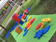 IMG4337